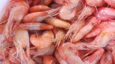 Прикрепленное изображение: IMG_20161007_165936.jpg